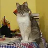Отзыв от Оксана Громова